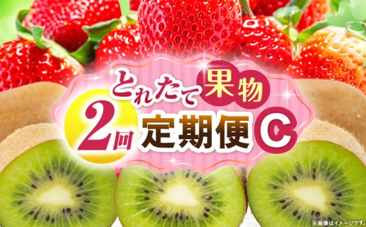 とれたて果物 2回定期便C 果物 フルーツ 果物定期便 フルーツ定期便 定期便 いちご キウイ濃厚 旬の果物 定期 人気 おすすめ 贈答 贈り物 青果物 糖度 香川県 _mk165-t053 2246236 - 香川県三木町