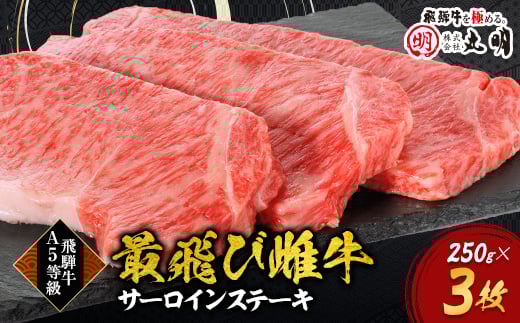 ＜最飛び雌牛＞飛騨牛A5等級サーロインステーキ　250g×3枚【1520145】