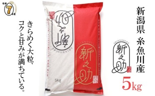 【選べる発送時期】令和7年産新米予約 『新之助』5kg 新潟県糸魚川産 農家直送 2025年産 あぐ里能生 しんのすけ【新潟県 糸魚川市 米 お米 こめ コメ ご飯 ライス ふるさと納税米 新潟県の新しいブランド米 産地直送 おすすめ ギフト 5キロ 精米 白米 人気 食品 選べる配送月 先行予約】