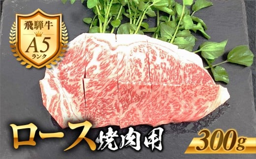 ［A5等級］飛騨牛 ロース 焼き肉用 300g 焼き肉 肉 牛肉 精肉 黒毛和牛 和牛 BBQ 飛騨牛 お肉 焼肉 BBQ 冷凍 明宝 明宝ハム 明宝物産物加工 16000円 [G0029]