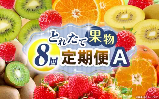 とれたて果物 8回定期便A 果物 フルーツ 果物定期便 フルーツ定期便 定期便 いちご キウイ デコポンみかん 濃厚 旬の果物 定期 人気 おすすめ 贈答 贈り物 青果物 糖度 香川県 _mk165-t084