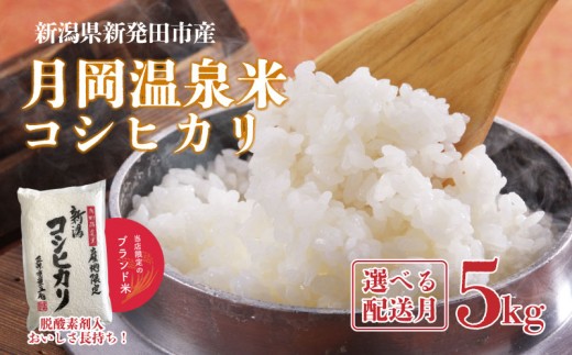 【先行予約】 新潟県産 コシヒカリ 5kg 選べる 配送月 令和7年産 月岡温泉米 こしひかり 新米 月岡 温泉 お米 こめ ご飯 ごはん おいしい 新潟 新潟県 米 新発田産 新潟産 朝食 昼食 夕飯 炊きたて 精米 watasho001P