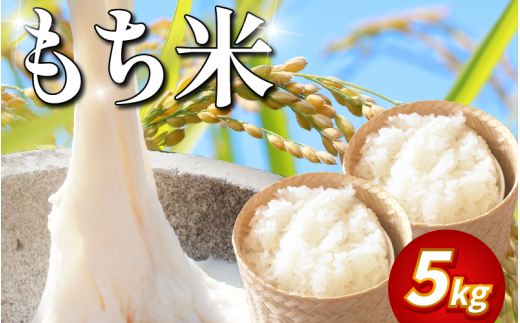 [ 5kg ]米 もち米 5kg 新米 令和7年産 餅 赤飯 おはぎ 備蓄 備蓄米 保存 防災 災害 おこわ 雑煮 大福 あられ イベント 餅つき 先行予約 阿波市 徳島県