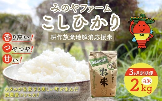 【3ヶ月定期便】令和7年産新米  こしひかり 2ｋｇ（白米） みのやファームの耕作放棄地解消応援米 【 コシヒカリ こしひかり おいしいお米 自然栽培 贈り物 ギフト 千葉県 御宿町 人気 おすすめ ランキング 】 ONJF007