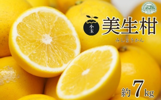訳あり 小玉 美生柑 約7kg 河内晩柑 ばんかん 愛媛 みかん 小粒  柑橘 フルーツ 果物 くだもの 果実 夏 文旦 晩生柑  蜜柑 mikan わけあり 傷 規格外 愛南 ご当地 ブランド 国産 産地 直送 ゼリー マーマレード デザート フルーツアイランド マルエム直販 愛媛県 愛南町 