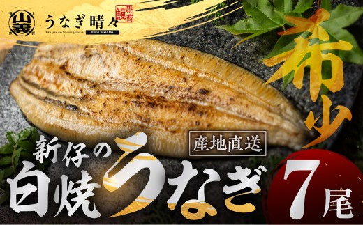山義養魚の『うなぎ晴々』 白焼 大容量！7尾 希少 豊橋うなぎ 厳選 国産 新仔うなぎ 若うなぎ 鰻 簡易包装 ウナギ 鰻 ギフト 土用丑の日 ギフト 冷凍 お取り寄せ 送料無料 日本酒と わさび 山椒 塩 大人 贅沢