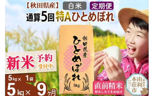 《予約受付》《定期便9ヶ月》令和7年産 【白米】通算5回特A 秋田県産ひとめぼれ 計5kg (5kg×1袋) お届け周期調整 隔月もOK【2025年11月中出荷予定】 2246425 - 秋田県由利本荘市