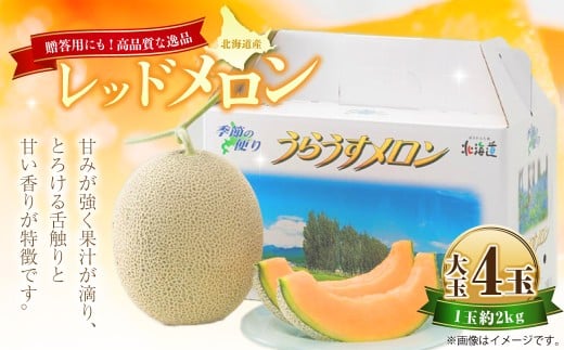 レッドメロン 大玉 4玉 (1玉 約2kg) [2026年7月上旬〜7月下旬迄順次発送予定] 果物 フルーツ メロン めろん 赤肉 赤肉メロン 贈答 北海道 浦臼町