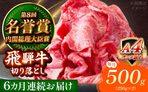 【6回定期便】 飛騨牛 切り落とし 500g (250g×2) 瑞浪市 / 肉のひぐち [AZDE016]