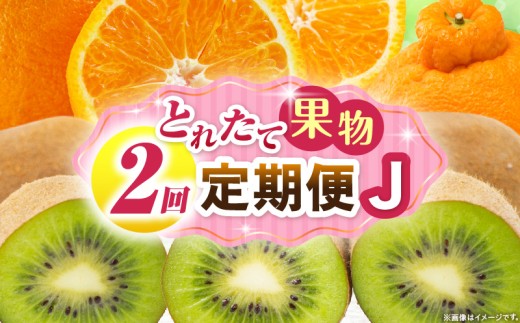 とれたて果物 2回定期便J 果物 フルーツ 果物定期便 フルーツ定期便 定期便キウイ デコポン濃厚 旬の果物 定期 人気 おすすめ 贈答 贈り物 青果物 糖度 香川県 _mk165-t060 2246243 - 香川県三木町