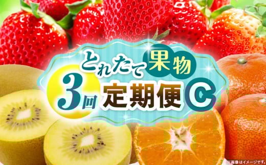 とれたて果物 3回定期便C 果物 フルーツ 果物定期便 フルーツ定期便 定期便 いちご キウイみかん 濃厚 旬の果物 定期 人気 おすすめ 贈答 贈り物 青果物 糖度 香川県 _mk165-t067 2246274 - 香川県三木町
