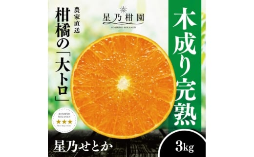 ＜三つ星ブランド＞星乃せとか(3kg)＜D45-93＞_ みかん ミカン 柑橘 せとか フルーツ くだもの 果物 ふるーつ 青果 果実 人気 甘い ジューシー 産直 産地直送 旬 柑橘類 人気 愛媛 果汁 八幡浜市【1625776】