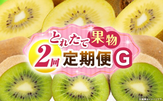 とれたて果物 2回定期便G 果物 フルーツ 果物定期便 フルーツ定期便 定期便キウイ濃厚 旬の果物 定期 人気 おすすめ 贈答 贈り物 青果物 糖度 香川県 _mk165-t057 2246240 - 香川県三木町