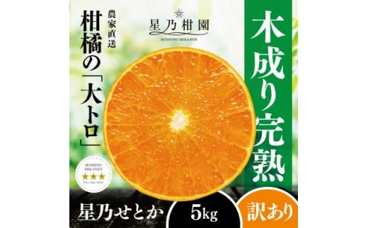 ＜訳あり＞星乃せとか 柑橘の大トロ(5kg)＜C45-97＞【1650682】