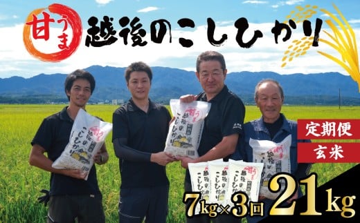 【定期便】コシヒカリ 玄米 7kg 3ヵ月 21kg 令和7年産 甘うま越後の こしひかり 米 お米 こめ 新潟米 新潟県産 新潟産 新潟 新潟県 新発田産 新発田 新発田市 斗伸 toushin049
