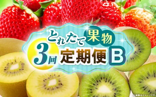 とれたて果物 3回定期便B 果物 フルーツ 果物定期便 フルーツ定期便 定期便 いちご キウイ濃厚 旬の果物 定期 人気 おすすめ 贈答 贈り物 青果物 糖度 香川県 _mk165-t066 2246273 - 香川県三木町
