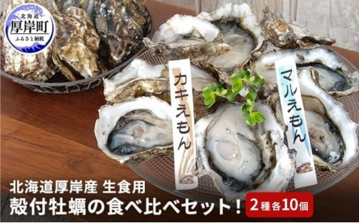 北海道 厚岸産 殻付牡蠣の食べ比べセット！（生食用）  牡蠣 カキ かき 生食 生食用 生牡蠣  食べ比べ 魚貝類 [№5863-0294]