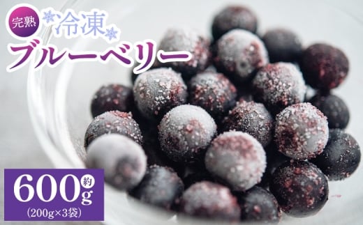 完熟 冷凍ブルーベリー 約600g(200g×3) - ﾌﾞﾙｰﾍﾞﾘｰ ブルーベリー フルーツ 果物 くだもの おやつ スイーツ デザート スムージー ヨーグルト ジャム 国産 高知県産 柳本果樹園 高知県 香南市 冷凍 yg-0027