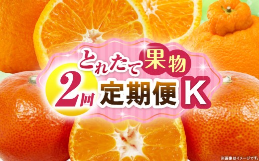 とれたて果物 2回定期便K 果物 フルーツ 果物定期便 フルーツ定期便 定期便 デコポンみかん 濃厚 旬の果物 定期 人気 おすすめ 贈答 贈り物 青果物 糖度 香川県 _mk165-t061 2246244 - 香川県三木町
