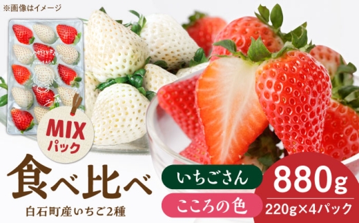 【R8年1月以降発送】こころの色×いちごさんミックス 紅白いちごセット 計880g（220g×4パック） 【Strawberryfarm-K】 紅白いちご 希少 いちご 果物 フルーツ いちごさん セット [IBJ027] [IBJ027]