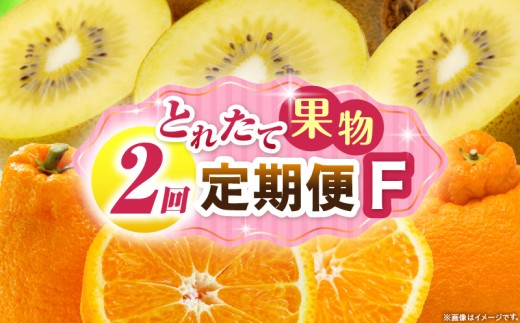 とれたて果物 2回定期便F 果物 フルーツ 果物定期便 フルーツ定期便 定期便キウイ デコポン 濃厚 旬の果物 定期 人気 おすすめ 贈答 贈り物 青果物 糖度 香川県 _mk165-t056 2246239 - 香川県三木町