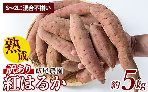 《訳あり》飯尾農園 熟成 紅はるか 約5kg 芋 いも さつまいも サツマイモ 鹿児島県産 国産 長島町産 べにはるか 熟成【飯尾農園】miio-874