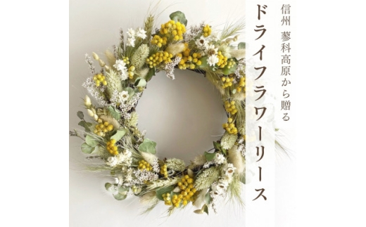 信州八ヶ岳の麓から贈るドライフラワーリースM(グリーン)【1658067】 2243150 - 長野県茅野市