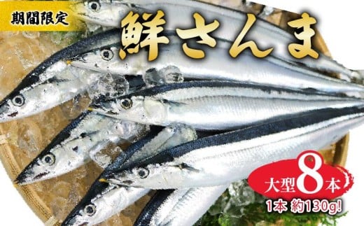 期間限定 鮮さんま 大型 8本 (1本約130g) 冷蔵 サンマ 秋刀魚 旬 海鮮 魚貝類 魚介類 産地直送 新鮮さんま 魚 焼き魚 三陸さんま 岩手 さんま 大船渡市