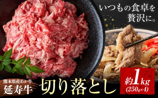 熊本県産 あか牛 「-延寿牛-」 切り落とし 約1kg 株式会社ワンエイト《30日以内に出荷予定(土日祝除く)》熊本県 苓北町 延寿牛 牛肉 切り落とし【配送不可地域あり】