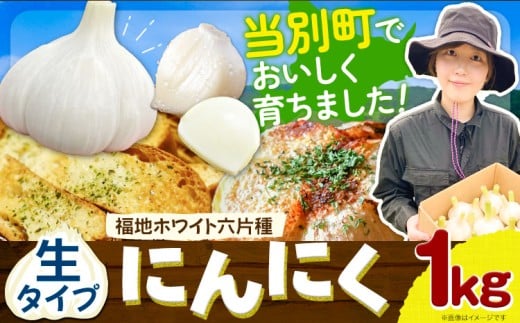 [0.8-194][令和7年先行受付]生にんにく(福地ホワイト六片種)1kg | にんにく ニンニク 生にんにく 国産にんにく 北海道にんにく st-p