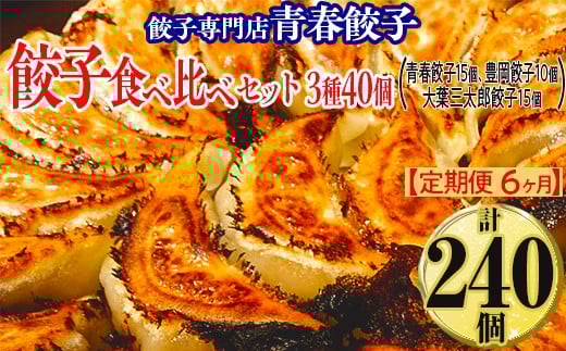 【定期便6ヶ月】餃子専門店青春餃子 餃子食べ比べセット 3種40個（青春餃子15個、豊岡餃子10個、大葉三太郎餃子15個）（計240個） 2244538 - 茨城県常総市