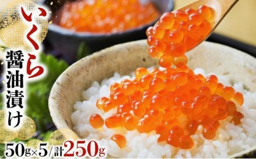 いくら醤油漬け 250g(50g×5)【2025年11月発送】 いくら 海鮮 北海道 イクラ 冷凍 醤油漬け 海産物 045-a008-11 2235404 - 北海道岩内町