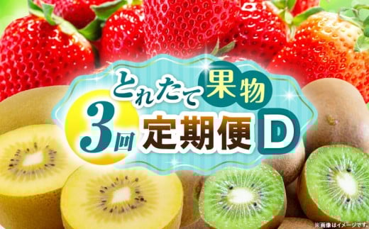 とれたて果物 3回定期便D 果物 フルーツ 果物定期便 フルーツ定期便 定期便 いちご キウイ濃厚 旬の果物 定期 人気 おすすめ 贈答 贈り物 青果物 糖度 香川県 _mk165-t068 2246281 - 香川県三木町