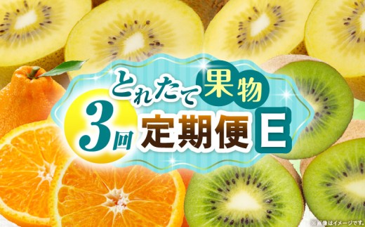 とれたて果物 3回定期便E 果物 フルーツ 果物定期便 フルーツ定期便 定期便 キウイ デコポン濃厚 旬の果物 定期 人気 おすすめ 贈答 贈り物 青果物 糖度 香川県 _mk165-t069 2246282 - 香川県三木町