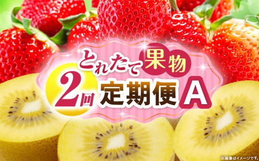 とれたて果物 2回定期便A 果物 フルーツ 果物定期便 フルーツ定期便 定期便 いちご キウイ 濃厚 旬の果物 定期 人気 おすすめ 贈答 贈り物 青果物 糖度 香川県 _mk165-t051 2246232 - 香川県三木町