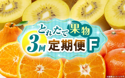 とれたて果物 3回定期便F 果物 フルーツ 果物定期便 フルーツ定期便 定期便キウイ デコポンみかん 濃厚 旬の果物 定期 人気 おすすめ 贈答 贈り物 青果物 糖度 香川県 _mk165-t070 2246286 - 香川県三木町