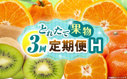 とれたて果物 3回定期便H 果物 フルーツ 果物定期便 フルーツ定期便 定期便キウイデコポンみかん 濃厚 旬の果物 定期 人気 おすすめ 贈答 贈り物 青果物 糖度 香川県 _mk165-t072 2246295 - 香川県三木町