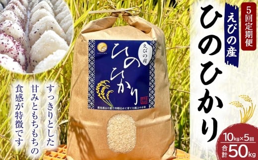 《令和7年産先行予約》【2025年11月発送】【5回定期便】米 ひのひかり 10kg 九州 霧島 えびの産 ヒノヒカリ 発送直前に精米 農家 直送 お米 おこめ こめ コメ 白米 ふるさと納税 10キロ 九州産 宮崎県産  宮崎県 送料無料