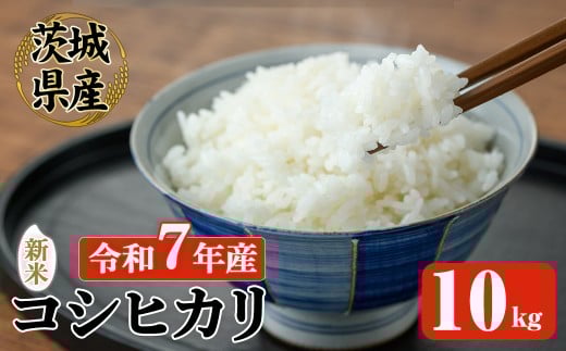 【先行予約】 常陸大宮産 コシヒカリ 10kg 米 お米 新米 令和7年 精米 白米 米 こめ コメ ご飯 ごはん コシヒカリ こしひかり 10kg 10キロ【JA常陸　常陸農業協同組合】【ho1575】