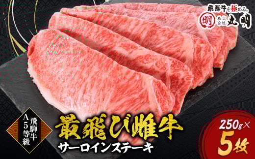 ＜最飛び雌牛＞飛騨牛A5等級サーロインステーキ　250g×5枚【1520147】