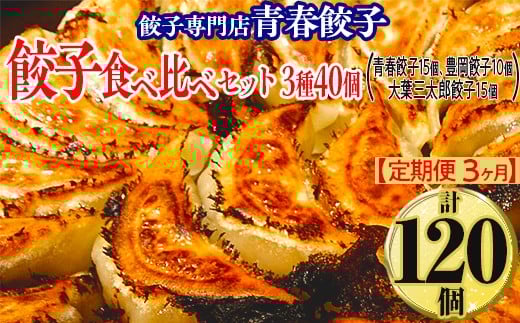 [定期便3ヶ月]餃子専門店青春餃子 餃子食べ比べセット 3種40個(青春餃子15個、豊岡餃子10個、大葉三太郎餃子15個)(計120個)