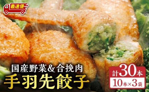 【最速便】手羽先餃子30本入り_M025-001-03-2W