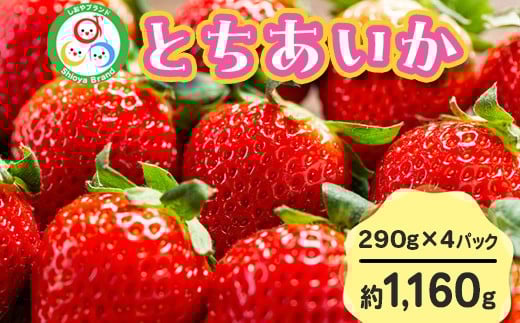 【先行予約】とちあいか 290g×4パック 計1160g｜いちご イチゴ 苺 贈答用 ギフト 風袋入り 平詰め ハンモックトレー 果物 くだもの フルーツ 数量限定 しおやブランド いちごソムリエ 栃木県 	塩谷町 ※2026年1月中旬～3月下旬頃に順次発送予定 ※離島への配送不可 2240320 - 栃木県塩谷町