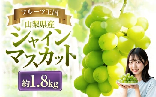 【2025年発送】 ぶどう 山梨県産 シャインマスカット 約1.8kg