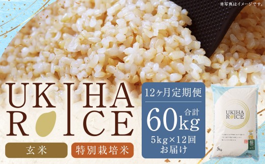 【12ヶ月定期便】みずほファーム UKIHA RICE (玄米5kg×12ヶ月)