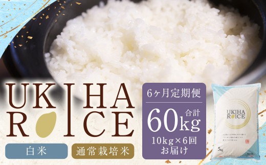 【6ヶ月定期便】みずほファーム UKIHA RICE (白米10kg×6ヶ月)