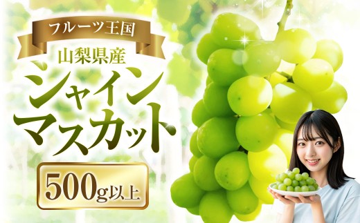 【2025年発送】ぶどう 山梨県産 シャインマスカット500g以上(1房)