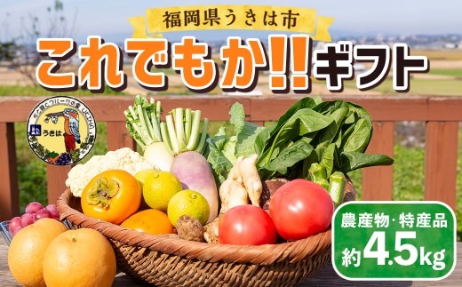 道の駅 うきは これでもか!! ギフト (新鮮な農産物・特産品 約4.5kg)