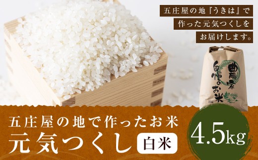 【特Aランク米】五庄屋の地で作ったお米 元気つくし 白米 (4.5kg)