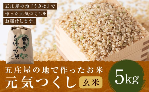 【特Aランク米】五庄屋の地で作ったお米 元気つくし 玄米 (5kg)